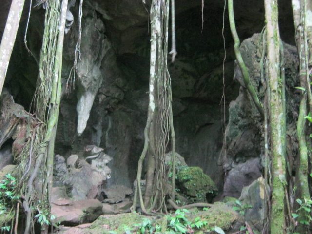 Entrance to Bat Cave in the jungle
